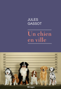 Un chien en ville