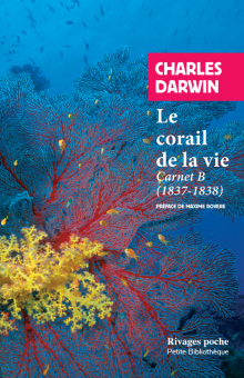 Le corail de la vie