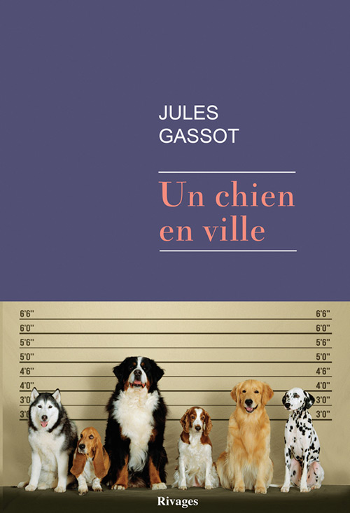 Un chien en ville